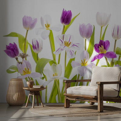 Tulipa Spring rumsbild 2