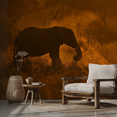 Golden Elephant in Savute rumsbild 2