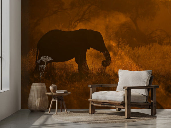 Golden Elephant i Savute miljöbild 2