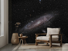 Andromeda Galaxy Stars