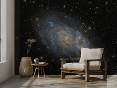 Luminous Spiral Galaxy