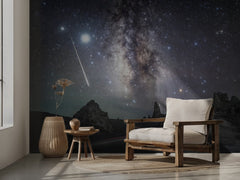 Milky Way Shooting Star