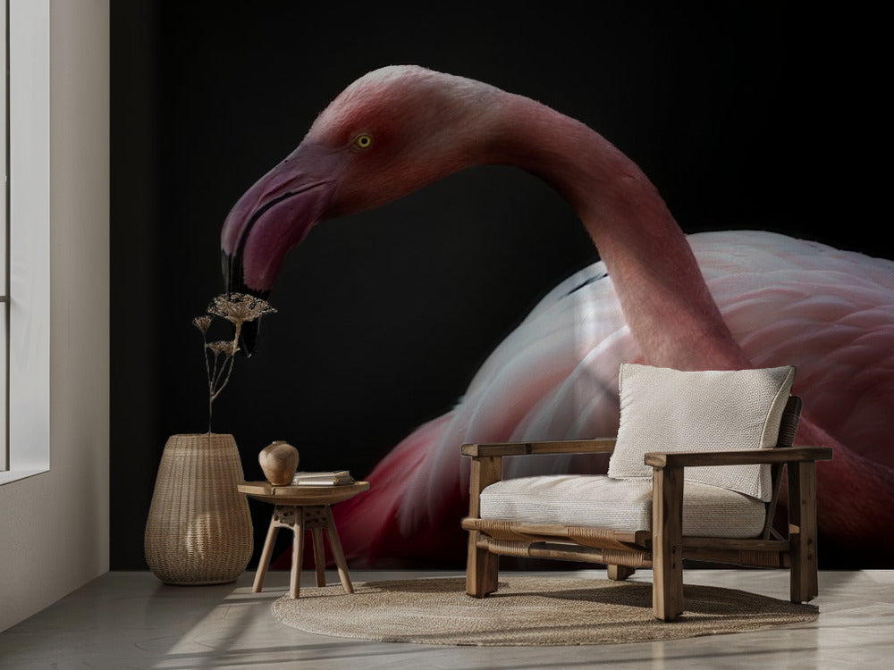 Flamingo portrait