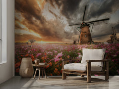 Dutch Windmill Cosmos Sunset