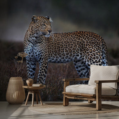 Leopard on the prowl rumsbild 2