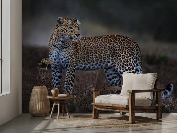 Leopard på sporet miljöbild 2