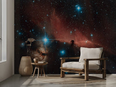 Horsehead Nebula Cosmic Glow