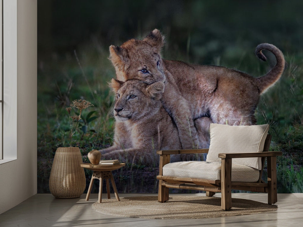 Playful lion cubs