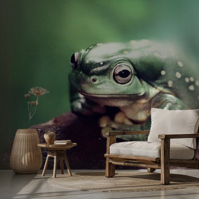 Froggy rumsbild 2