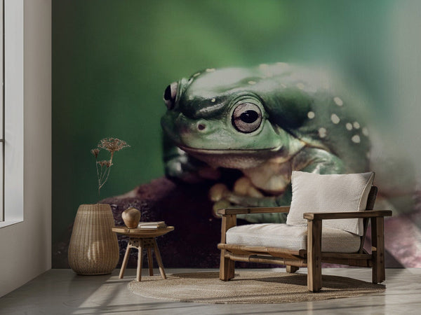 Froggy miljöbild 2