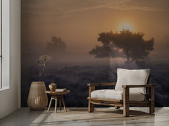 Misty Heather Sunrise