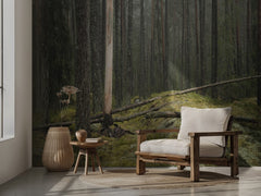 Serene Forest Landscape