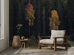 Autumn Forest Contrast