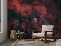 Cosmic Bubble Nebula