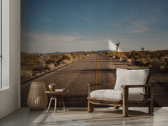 Open Desert Road