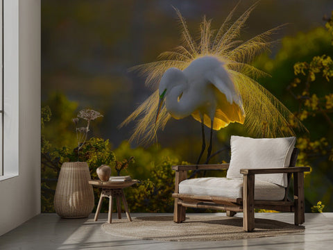 A Great Egret - Fototapet med silvertäger i naturlig miljö