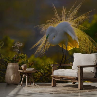 A Great Egret - Fototapet med silvertäger i naturlig miljö rumsbild 2