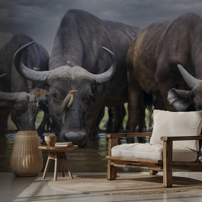 The Herd & the Oxpecker rumsbild 2