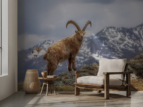 the king of the alps in his kingdom