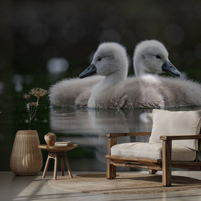 Cygnet rumsbild 2