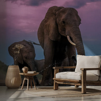 Elephants rumsbild 2