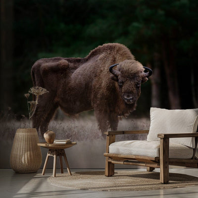 European bison rumsbild 2