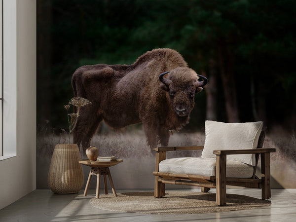 Europeisk bison miljöbild 2