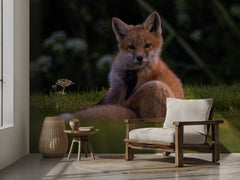 Djur Red fox – kvalitetsprodukt för ett vackrare och mer hållbart hem