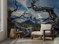 Twisted Trees Patagonia