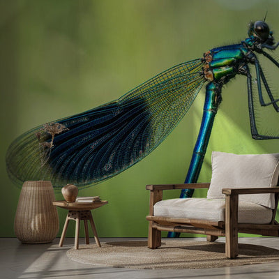 Beautiful Dragonfly rumsbild 2