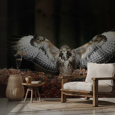 Bussard in Full Glory rumsbild 2