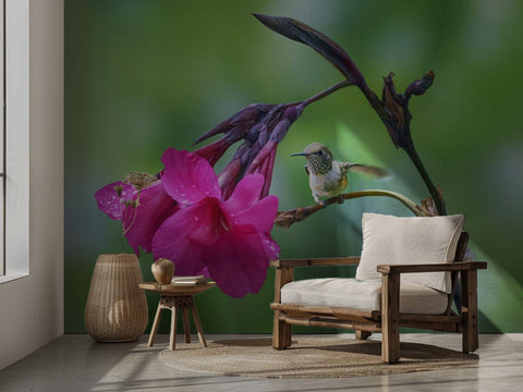 Fresh Start – Kolibri bland rosa blommor fototapet