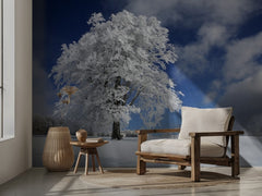 Frozen Winter Tree