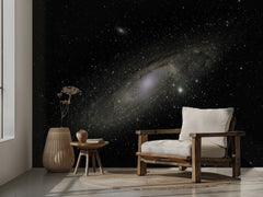 Andromeda Galaxy Stars