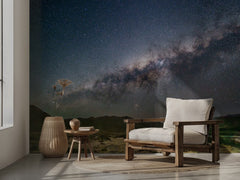 Milky Way Desert Night
