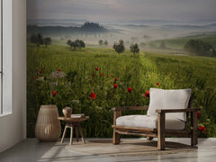 Misty Tuscan Poppies