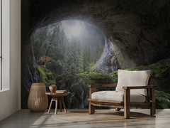 Misty Forest Cave Arch