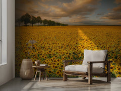 Golden Sunflower Field