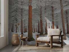 Snowy Evergreen Forest