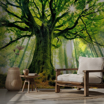 Ponthus's Beech rumsbild 3