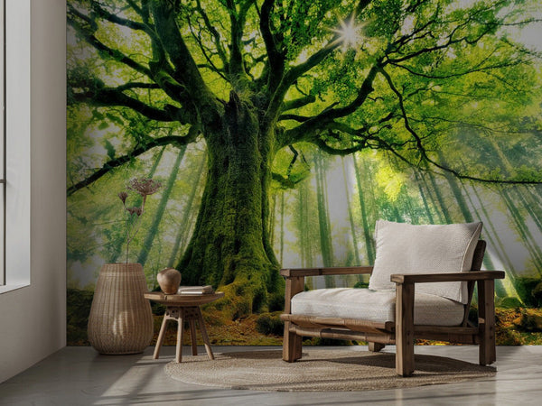 Ponthus's Beech miljöbild 3