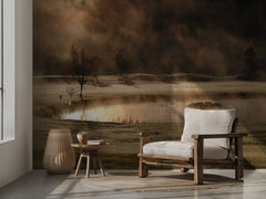 Misty Morning Swans