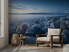 Icy Coastal Rocks