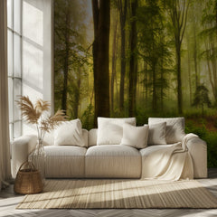 Misty Forest Sunlight