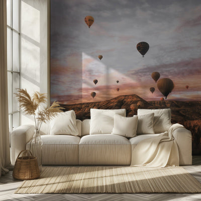 Cappodocia Hot air Balloon rumsbild 2