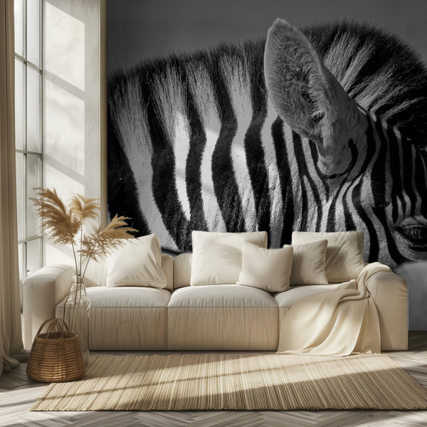 Nyfiken Zebra miljöbild 2