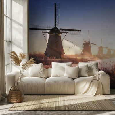 Kinderdijk 4. rumsbild 2