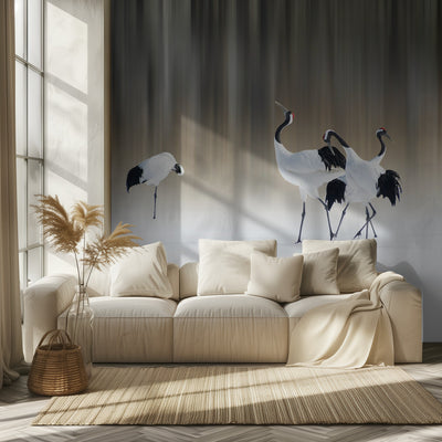 Red-crested white cranes rumsbild 2