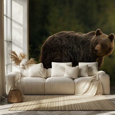 Backlit bear rumsbild 2