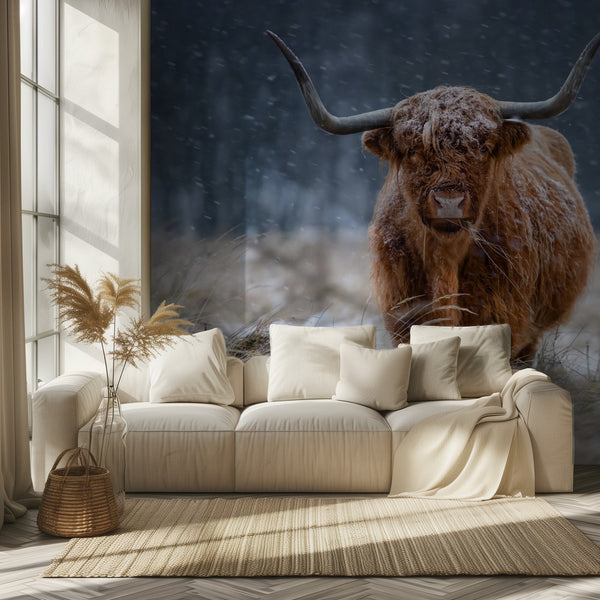 Snowy Highland cow miljöbild 2